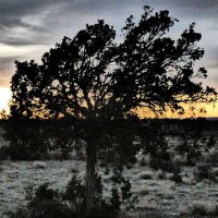 Aaron Meacham, patron saint of uncertainty (@aaron_meacham) 's Twitter Profile