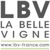 La Belle Vigne (@belle_vigne) Twitter profile photo La Belle Vigne (@belle_vigne) Twitter profile photo