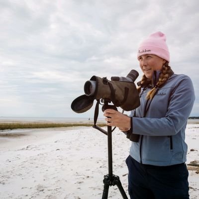 Seabird/Shorebird nerd, currently working in the Gulf of Mexico. Seabird obsessed.