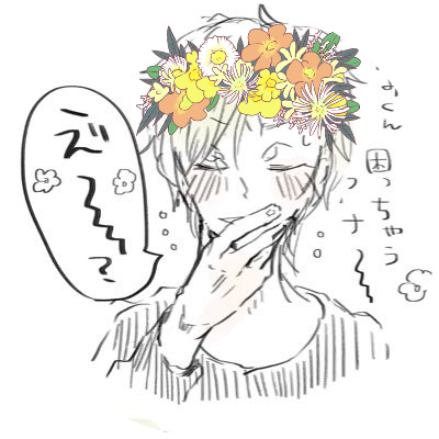 こだめさんのプロフィール画像