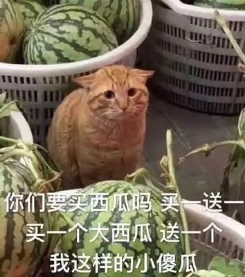 游戏安全入门中 | 嘤嘤嘤 | 几年前跑过blockchain,误B非常抱歉
https://t.co/6hcHlgxYpj
https://t.co/TYlPqhlQ7j