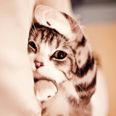 karaagekun0805's profile picture. ミラティブ配信は毎日してます！──凸運をください。自分がどうしていくのかは自分で決める。なーほーな？黒い砂漠:所属ギルドLangrisser→CRAY→strays→-ORCA-→Sphene→nacHFolge→AQ→ぴくしー※黒砂復帰※✄-------------------‐✄情緒不安定でも頑張る