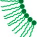 The Lipid Chronicles (@lipidchronicles) Twitter profile photo The Lipid Chronicles (@lipidchronicles) Twitter profile photo