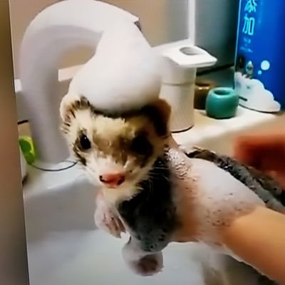 Brainbender2005's profile picture. here for DFS