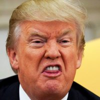 TrumpHasDementia (@dementiahas) 's Twitter Profile