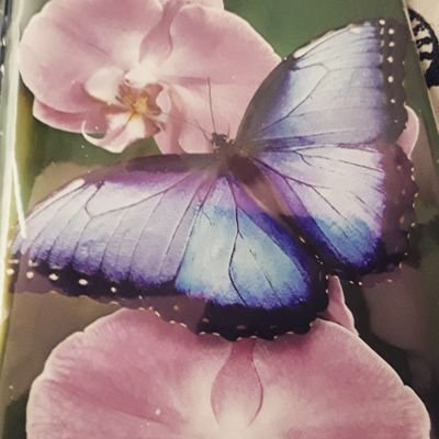 ChronicallyLed's profile picture. Blogger confronts Auto-Immune and Chronic Pain head-on. #Fibro #PCOS #InvisibleIllness #Migraine #Spoonie #OA #Hashi #PTSD #DDD #WLS #selfcare Life student