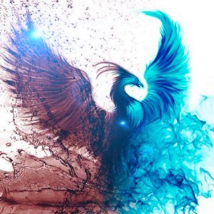 KaljoKusti's profile picture. 