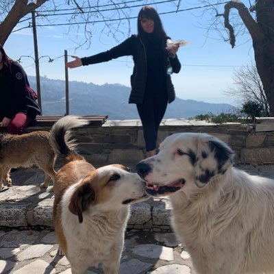 whitneyhackman's profile picture. ask me about my dog Fergus