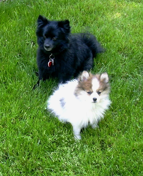 jillelevine's profile picture. 