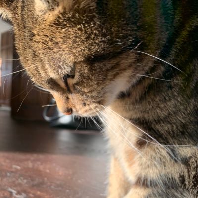 caroline_makeup's profile picture. 