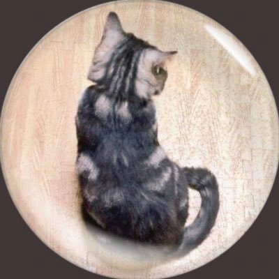 きょうさんのプロフィール画像