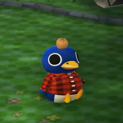 _liirio's profile picture. 