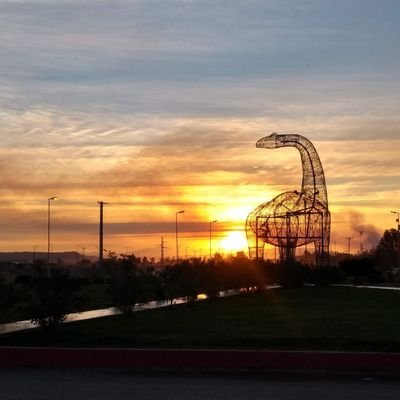 jaleyesru's profile picture. 