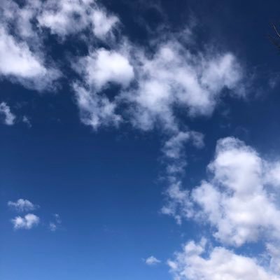 tony72979908's profile picture. 感谢你得关注Thank you for your attention