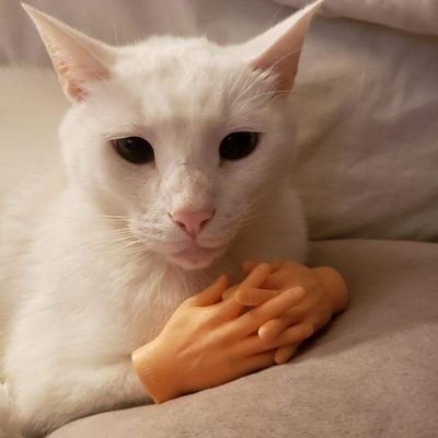 doodoobrown415's profile picture. 