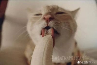 知名白嫖少男  只是上来看🐔