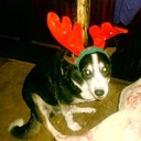 Jerry Putman - @jputman1968 - Twitter