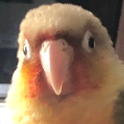 碧さんのプロフィール画像
