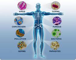 Senior regional consultant at Immunotec Inc