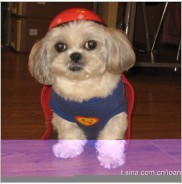 yz_cheers's profile picture. follow yanzi 
做个好歌迷，不给她丢人！！