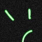 kasRel0's profile picture. 