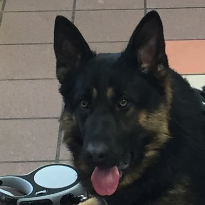 BackenMyday's profile picture. If a product is free…. YOU are the product.