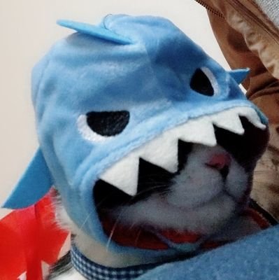 JavaScriptの勉強しているよ/現在介護士/Androidアプリを作りたい/現在プログラミングスクール受講中(終了しました!)/Reactがんばってます💪
目標:エンジニア
心がまえ: 1つ、挫折しないこと
2つ、一日1時間以上勉強
3つ、自分に負けるな!!!