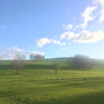 evanoconnor26's profile picture. 