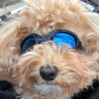 msk1998's profile picture. 「皆んなが､年に一~二回旅行に行って､月に二~三回焼肉食って､大きめの犬を二~三頭飼える位の国になると良いな〜」と思っているオッサンです｡