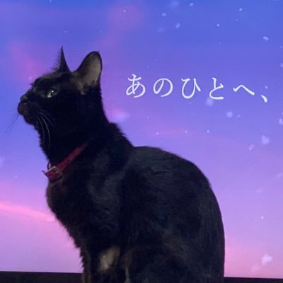 🐈‍⬛おっと清🐈‍⬛さんのプロフィール画像