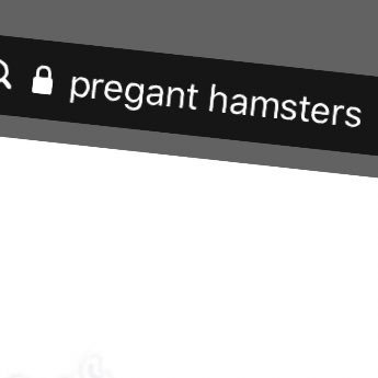 SChicken43's profile picture. 