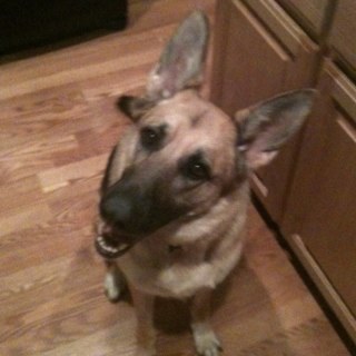 GoryKween's profile picture. 