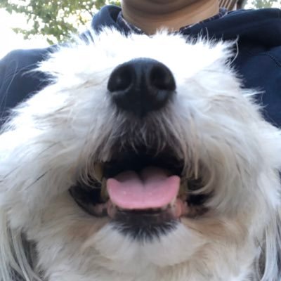 sawai_ysnb's profile picture. 