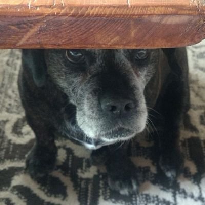 Jirka1213's profile picture. Bastlíř. Objevitel dávno objeveného.