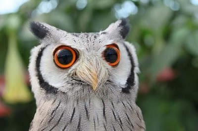 takajamin's profile picture. crossfitter です(^-^)/