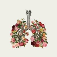 S. Fouad (@sfa1532) 's Twitter Profile