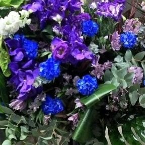 shama_Champery's profile picture. 推しいっぱい