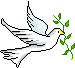 AYM Leaks !!!
** We are advocates of peace and love not war **