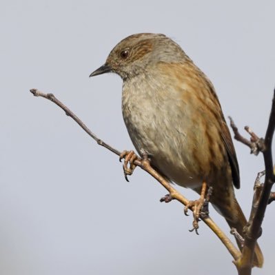 laurelcadle's profile picture. wonderings about wanderings