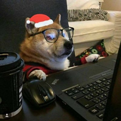 galagelamoxi's profile picture. 浪漫是少数人的通行证。你有吗？