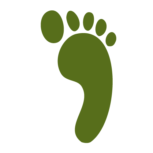 FootWork, LLC provides start-up and small to medium sized businesses with resources and services that enable them to grow.