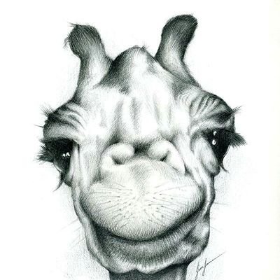 C'est très pénible de peigner la girafe. Surtout sans échelle.
Chaval
https://t.co/Q3ncCaXPdD
