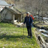 Zuccolo Ghislain (@zuccolog) 's Twitter Profile