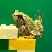 shigefish (@shigefish2) 's Twitter Profile Photo shigefish (@shigefish2) 's Twitter Profile Photo