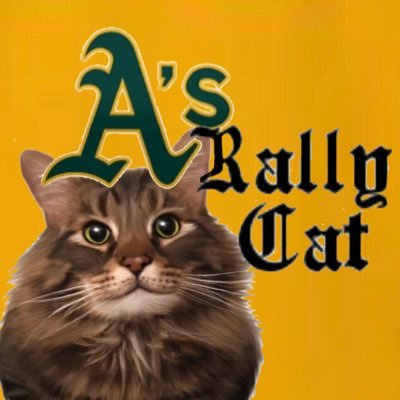 The (Unofficial) Official Rally Cat of the Oakland @Athletics. 💚 Rescued in Oakland. ⚾️ Go A’s!