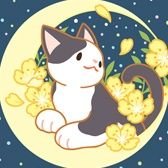 이데아さんのプロフィール画像