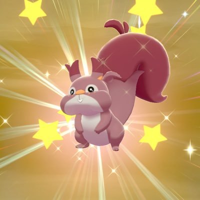 色違い愛好家のホシガリス A6175 Twitter