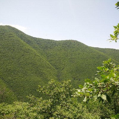 ‏‏آزادی خواه،ندانم گرا،طبیعت دوست،انسانم آرزوست
دنبال دنیایی میگردم که توش همه برابر باشن 
معتقد به نظم کهکشانی وخدایان فضایی 
تابع قوانین ایالت خودمختار بابیلش