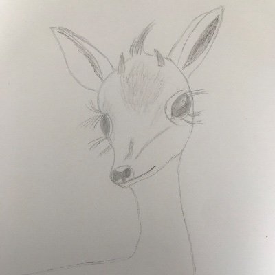 Reem31982865's profile picture. A life devotee of Ahmadiyya Muslim Community: Translator, Writer and Researcher of Islam.
Translation & Research Office.