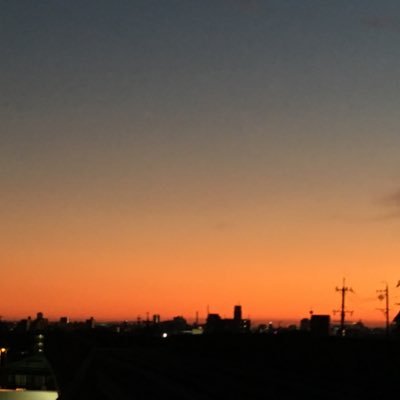 reversi_49's profile picture. とある事情から分裂たやつの片割れ。20↑いろいろな方のイラストを見たい人生だった…。無言フォロー失礼します。気まぐれに絵描きます。腐敗済。加虐系。